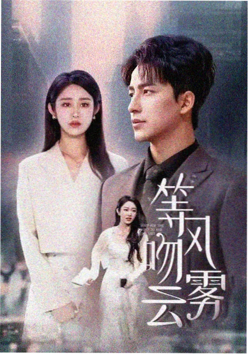 路演映后交流现场结构示意长卷插画